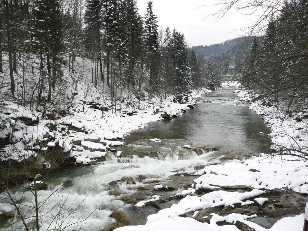 Tsvit Paporoti Jaremtsche Exterior foto